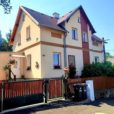 Ubytovani U Rybnicka Villa Arnoltice u Decina Exterior foto
