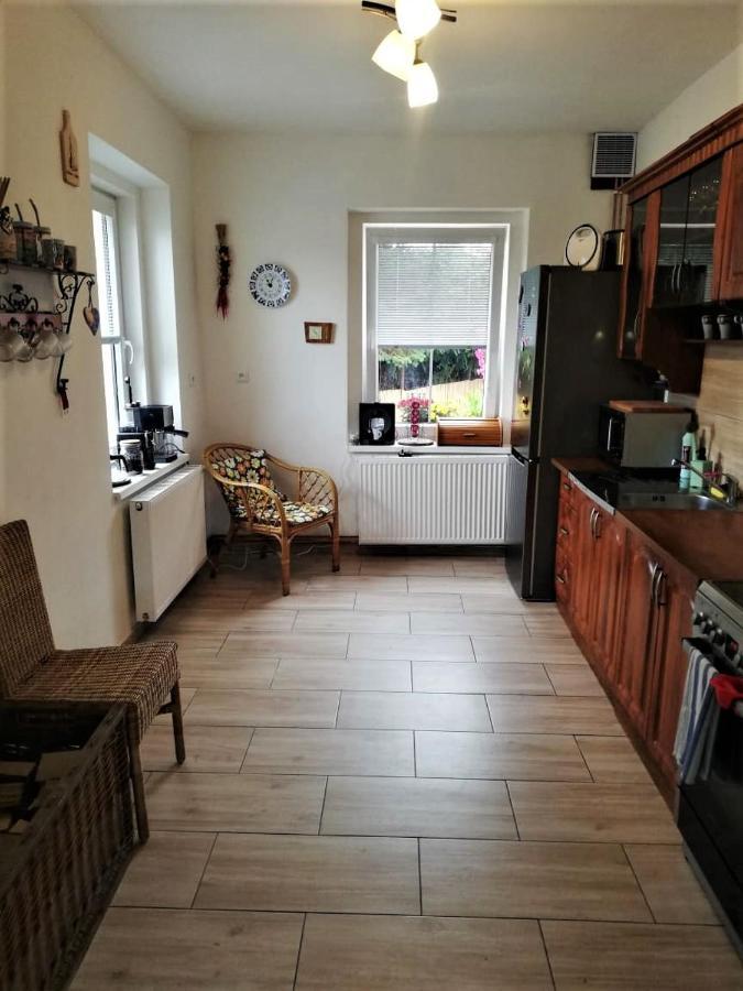 Ubytovani U Rybnicka Villa Arnoltice u Decina Exterior foto
