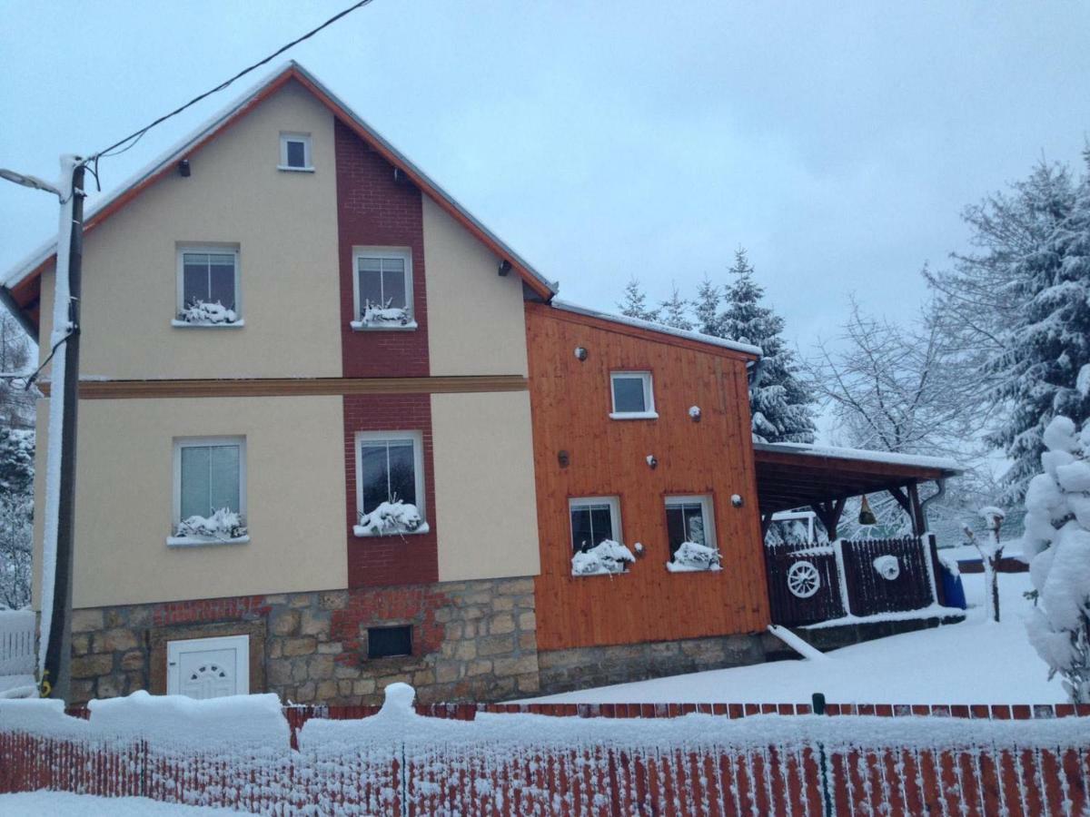 Ubytovani U Rybnicka Villa Arnoltice u Decina Exterior foto